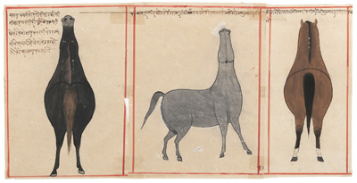 <b>Gruppe von drei Miniatur-Malereien von Pferden</b>